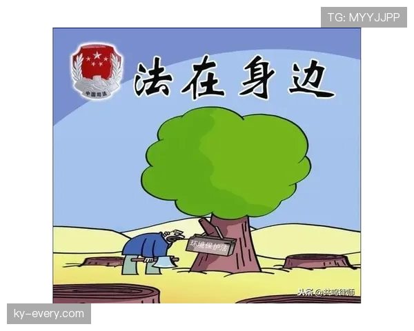 比赛申诉的规则流程与裁判判罚复议标准解析